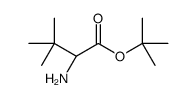 D-Valine, 3-methyl-, 1,1-dimethylethyl ester picture