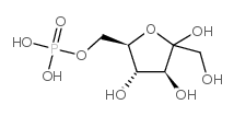 果糖-6-磷酸结构式