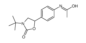 N-[4-(3-tert-butyl-2-oxo-1,3-oxazolidin-5-yl)phenyl]acetamide结构式