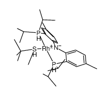 (N(C6H3(CH3)P(CH(CH3)2)2)2)Rh(S(t)BuMe) Structure
