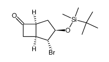 (1R*,2S*,3S*,5R*)-(±)-2-bromo-3-((tert-butyldimethylsilyl)oxy)bicyclo[3.2.0]heptan-6-one结构式