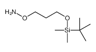 3-AMINOOXY-N-PROPYL (DIMETHYL-T-BUTYLSILYL) ETHER Structure