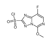 2-chlorosulfonyl-8-fluoro-5-methoxy-[1,2,4]triazolo[1,5-c]pyrimidine Structure