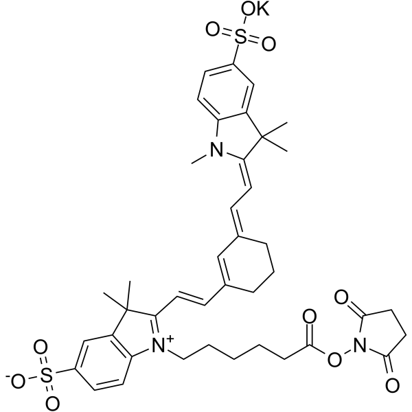 Sulfo-Cyanine 7 NHS ester Structure