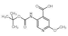 5-(tert-butoxycarbonylamino)-2-methoxypyridine-4-carboxylic acid structure