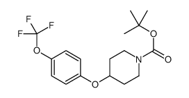 4-(4-(三氟甲氧基)苯氧基)哌啶-1-羧酸叔丁酯结构式