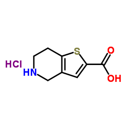 4,5,6,7-Tetrahydrothieno[3,2-c]pyridine-2-carboxylic acid hydrochloride Structure