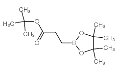 3-(4,4,5,5-四甲基-[1,3,2]二氧杂硼烷-2-基)丙酸叔丁酯结构式