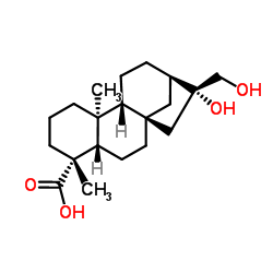 等效-16BETA,17-二羟基-19-异贝壳杉烷酸结构式
