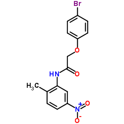 2-(4-Bromophenoxy)-N-(2-methyl-5-nitrophenyl)acetamide Structure