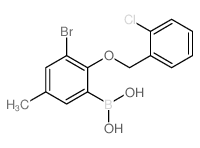 3-溴-2-(2′-氯苄氧基)-5-甲基苯基硼酸结构式