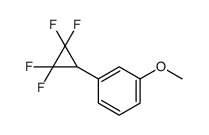1-methoxy-3-(2,2,3,3-tetrafluorocyclopropyl)benzene结构式