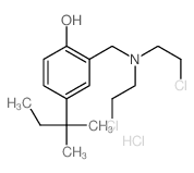 2-[bis(2-chloroethyl)aminomethyl]-4-(2-methylbutan-2-yl)phenol结构式