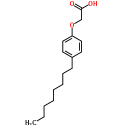 (4-Octylphenoxy)acetic acid Structure