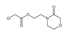 2-(3-oxomorpholino)ethyl chloroacetate Structure