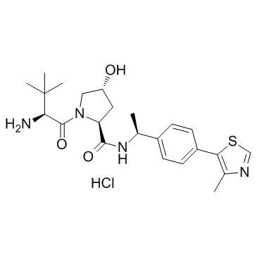 E3连接酶配体1结构式