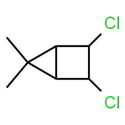 Bicyclo[2.1.0]pentane, 2,3-dichloro-5,5-dimethyl-, endo,endo- (8CI)结构式