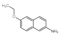 6-乙氧基萘-2-胺结构式