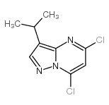 5,7-二氯-3-异丙基吡唑并[1,5-a]嘧啶结构式