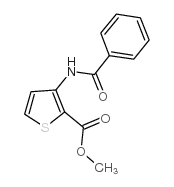3-(苯甲酰基氨基)-2-噻吩羧酸甲酯结构式