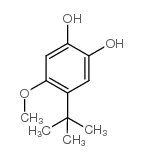 4-叔丁基-5-甲氧基邻苯二酚结构式