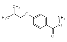 4-异丁氧基苯甲酸肼结构式