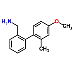 1-(4'-Methoxy-2'-methyl-2-biphenylyl)methanamine结构式