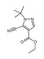 5-氰基-1-叔丁基-1H-吡唑-4-羧酸乙酯结构式