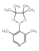 3,5-Dimethylpyridine-4-boronic acid pinacol ester structure