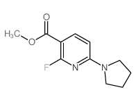 2-氟-6-(吡咯烷-1-基)烟酸甲酯结构式