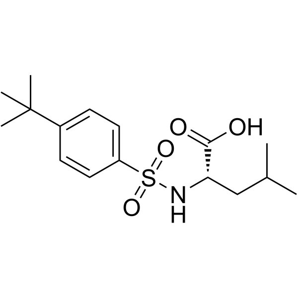 ((4-(tert-Butyl)phenyl)sulfonyl)leucine Structure
