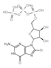 8-Br-GTP Structure