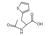 2-乙酰氨基-3-(噻吩-2-基)丙酸图片