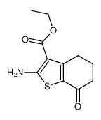 2-氨基-7-氧代-4,5,6,7-四氢-1-苯并噻吩-3-羧酸乙酯结构式