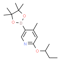 2-(sec-butoxy)-4-Methyl-5-(4,4,5,5-tetramethyl-1,3,2-dioxaborolan-2-yl)pyridine Structure