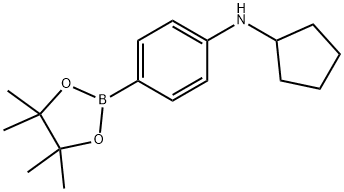 4-(环戊基氨基)苯硼酸频哪醇酯结构式