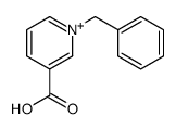 1-benzylpyridin-1-ium-3-carboxylic acid Structure