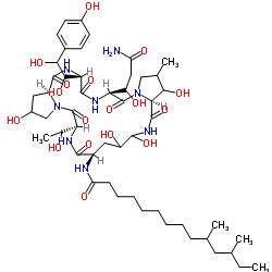 N-{(6S,9R,14aS,20S,23S,25aS)-20-[(1S)-3-Amino-1-hydroxy-3-oxopropyl]-23-[(1R)-1,2-dihydroxy-2-(4-hydroxyphenyl)ethyl]-2,11,12,15-tetrahydroxy-6-[(1S)-1-hydroxyethyl]-16-methyl-5,8,14,19,22,25-hexaoxotetracosahydro-1H-dipyrrolo[2,1-c:2',1'-l][1,4,7,10,13,16]hexaazacyclohenicosin-9-yl}-10,12-dimethyltetradecanamide Structure
