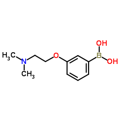(3-(2-(二甲氨基)乙氧基)苯基)硼酸结构式