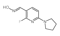 (E)-2-Fluoro-6-(pyrrolidin-1-yl)nicotinaldehyde oxime Structure