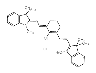 IR-775氯化物结构式