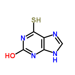 6-Thioxo-6,9-dihydro-1H-purin-2(3H)-one Structure