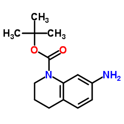 1(2H)-Boc-7-氨基-3,4-二氢喹啉结构式