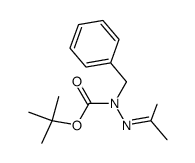 tert-butyl 1-benzyl-2-(propan-2-ylidene)hydrazine-1-carboxylate结构式