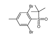 1,3-dibromo-2-tert-butylsulfonyl-5-methylbenzene Structure