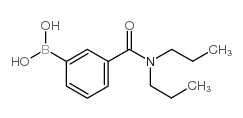 3-(二丙基氨甲酰基)苯基硼酸图片