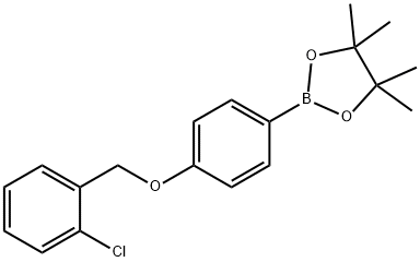 1,3,2-Dioxaborolane, 2-[4-[(2-chlorophenyl)methoxy]phenyl]-4,4,5,5-tetramethyl- Structure