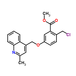 Methyl 2-(chloromethyl)-5-[(2-methyl-4-quinolinyl)methoxy]benzoate结构式