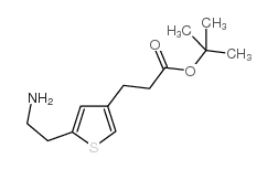 3-[5-(2-氨基乙基)噻吩-3-基]丙酸叔丁酯结构式