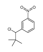 1-(1-chloro-2,2-dimethylpropyl)-3-nitrobenzene结构式